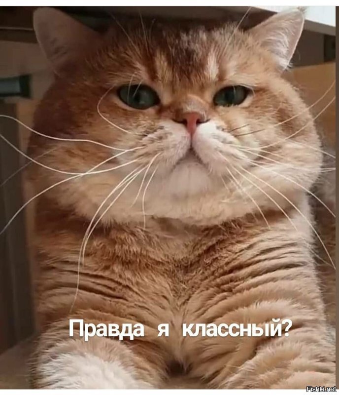 Солянка от 05.06.2020