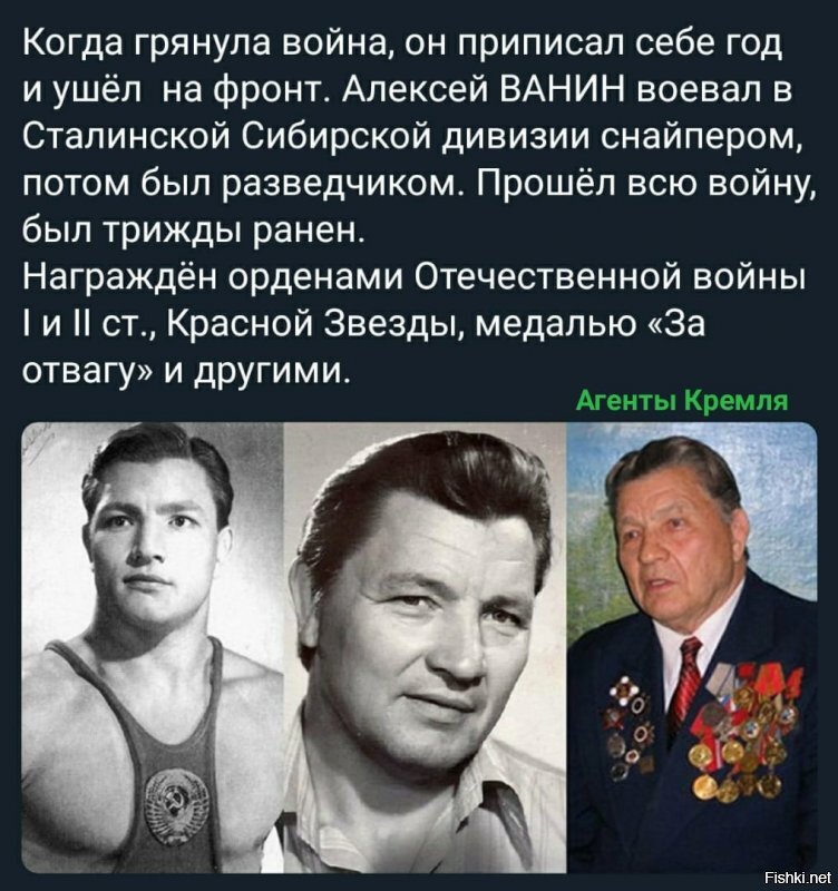 Политические комментарии из инета