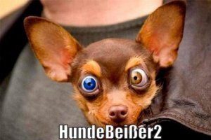 Военные новости за сутки