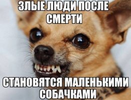 Военные новости за сутки