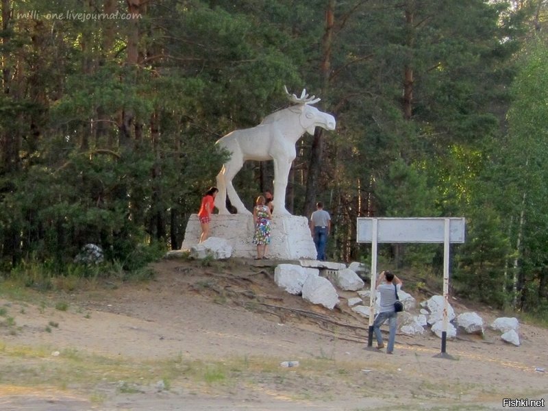в Марий Эл