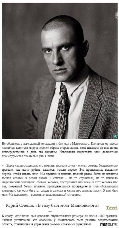 Мозги не "ум"...