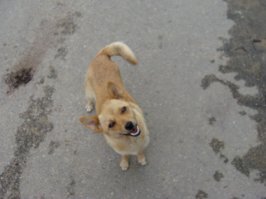 И вас с добрым утром!