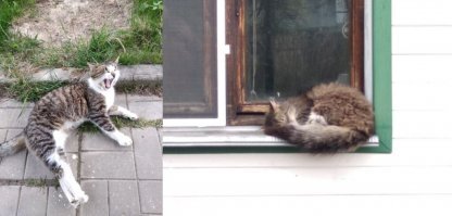 Пол года, буквально...