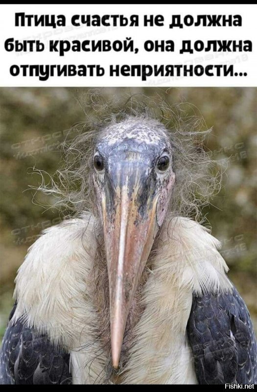 Солянка от 06.06.2020