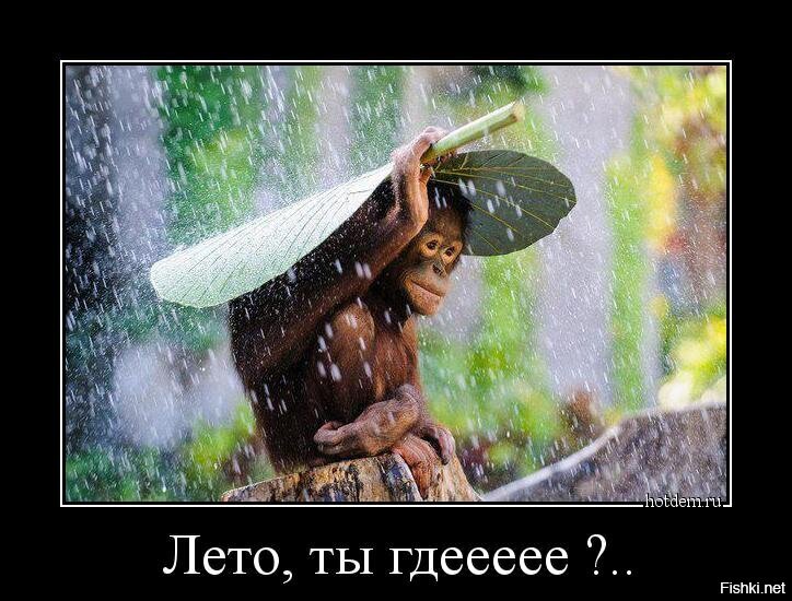 Смешные картинки и не очень