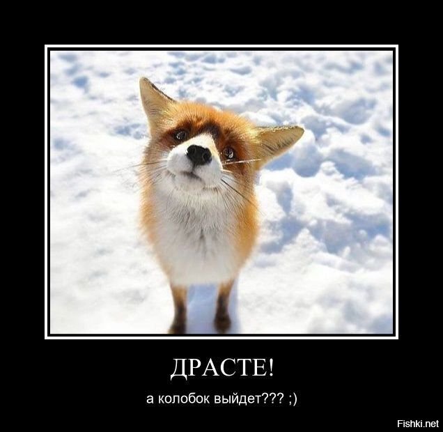 Смешные картинки и не очень