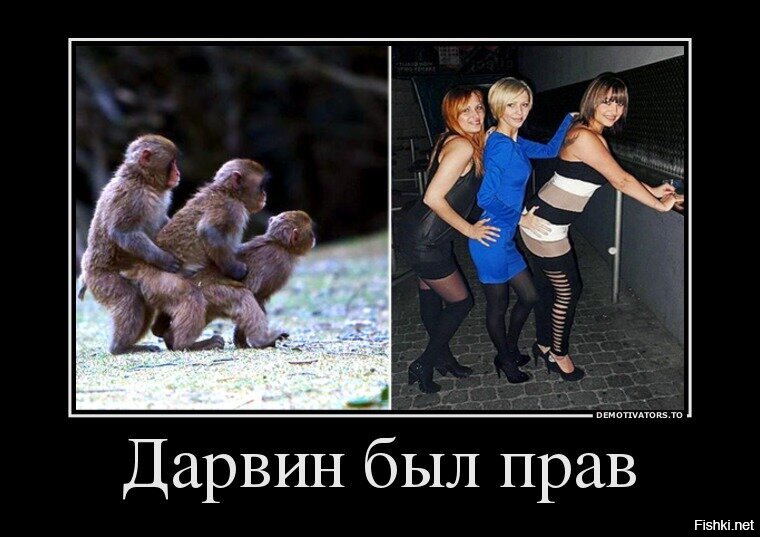 Смешные картинки и не очень