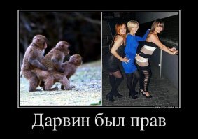 Смешные картинки и не очень