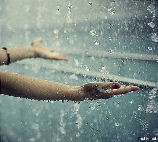 Солянка от 06.06.2020