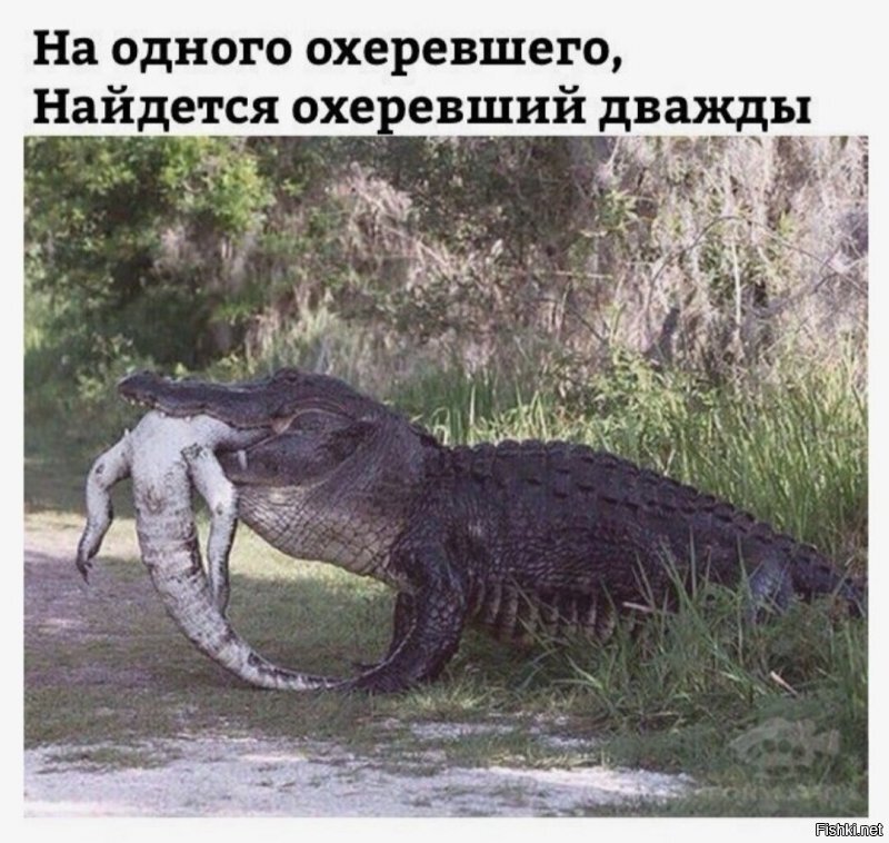 Солянка от 06.06.2020