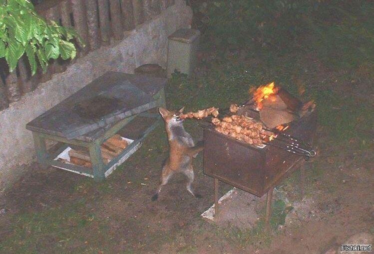 Смешные картинки