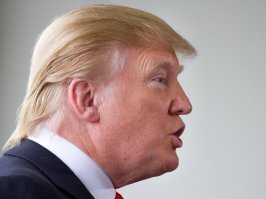 Трамп, похожий на ухо собаки: