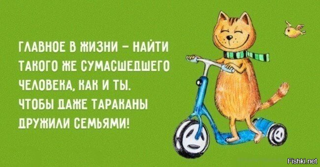Солянка от 06.06.2020