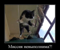 Смешные картинки