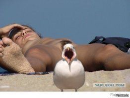 Девушки и море