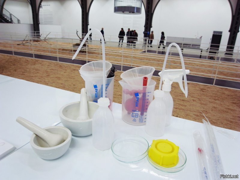 Вы "большого мнения" о Википедии-Википедия пишется и проверяется обычными людьми, там есть ссылки на первоисточники...
Чукчи использовали мухомор чаще всего в сушеном виде. Грибы заготавливали впрок, высушивая и нанизывая по три штуки на нитку. При употреблении отрывали маленькие кусочки, тщательно пережевывали и глотали, запивая водой. У коряков был распространен обычай, когда женщина разжевывает гриб и отдает мужчине проглотить жвачку ...
А что одного желудка оленя мало???
В Германии оленей "кормят" мухоморами!!!