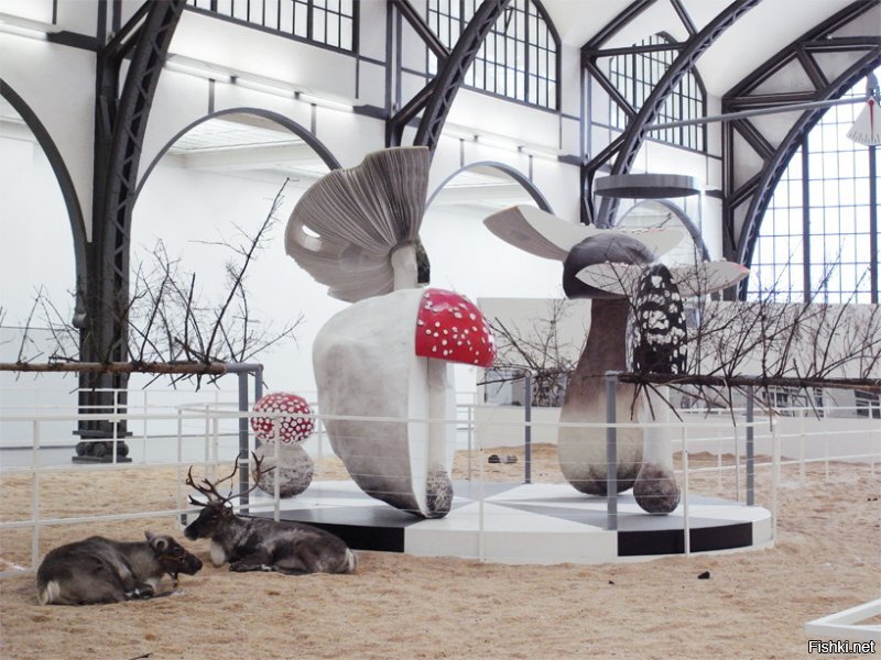 Вы "большого мнения" о Википедии-Википедия пишется и проверяется обычными людьми, там есть ссылки на первоисточники...
Чукчи использовали мухомор чаще всего в сушеном виде. Грибы заготавливали впрок, высушивая и нанизывая по три штуки на нитку. При употреблении отрывали маленькие кусочки, тщательно пережевывали и глотали, запивая водой. У коряков был распространен обычай, когда женщина разжевывает гриб и отдает мужчине проглотить жвачку ...
А что одного желудка оленя мало???
В Германии оленей "кормят" мухоморами!!!