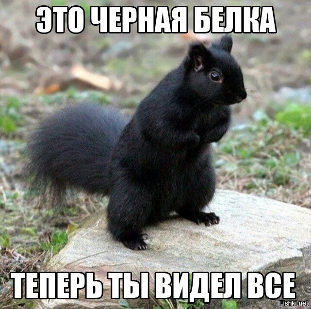 Солянка от 06.06.2020