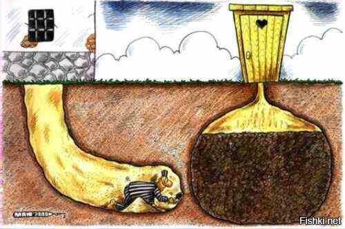 Ожидание и реальность