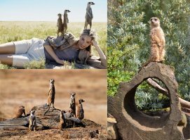 Фотоподборка