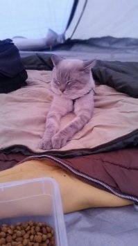 Мне вообще положить на этих барыг и мне бы лучше, чтоб этих мудил стало меньше - а то берегов, где можно палатку поставить уже не осталось: все захапали, суки!