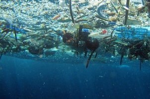 Морская вода - это бульон с бактериями...Океан - настоящая помойка