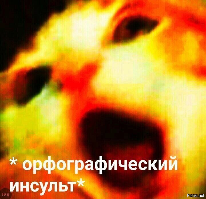 Солянка от 06.06.2020