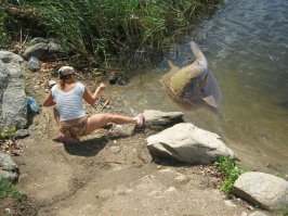 Прикольные и смешные картинки