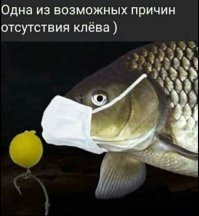 Прикольные и смешные картинки