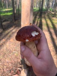 Вчера, Тверская обл.