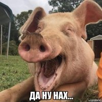 Всё вразнобой