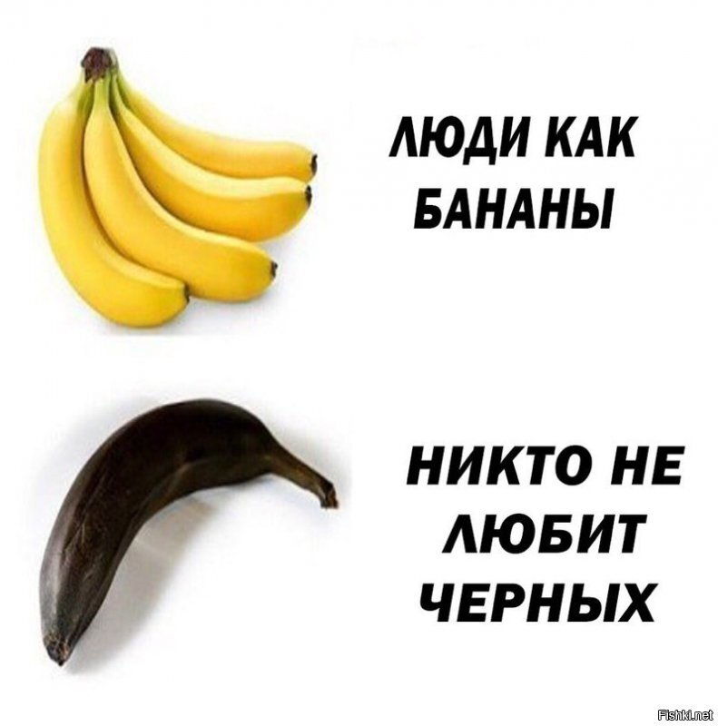 Мне плевать на цвет кожи. Веди себя нормально, будь социальным, ответственным и зрелым, да хоть с макакой, хоть с бабуином буду дружить.  А мудаков и черных и желтых и серых и белых хватает. Черный юмор люблю. Угнетение нет. Но нужно различать тупые шутки про прискорбные исторические события и геноцид и шутки про обленившихся, живущих на пособие и наркоту тунеядцев. Не грози южному централу, попивая сок у себя в квартале. )