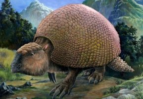 Глиптодонты достигали почти 3м в длину и весили 2т, имели толстый панцирь, состоящий из сросшихся друг с другом многочисленных костных пластинок. Этот панцирь прикрывал сверху всё туловище животного. На голове глиптодона помещался небольшой костный щит, образованный такими же костными пластинками. Хвост животного был защищён, как чехлом, сросшимися друг с другом костными кольцами, снабжёнными шипами.