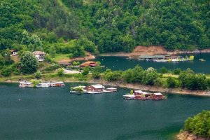 Смешные картинки