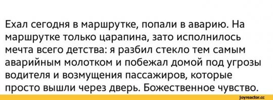 Прикольные и смешные картинки