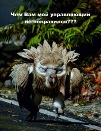 Смешные картинки и не очень