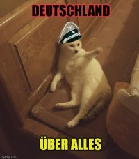 Йа Йа конечно!