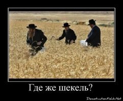 Интересное об Израиле