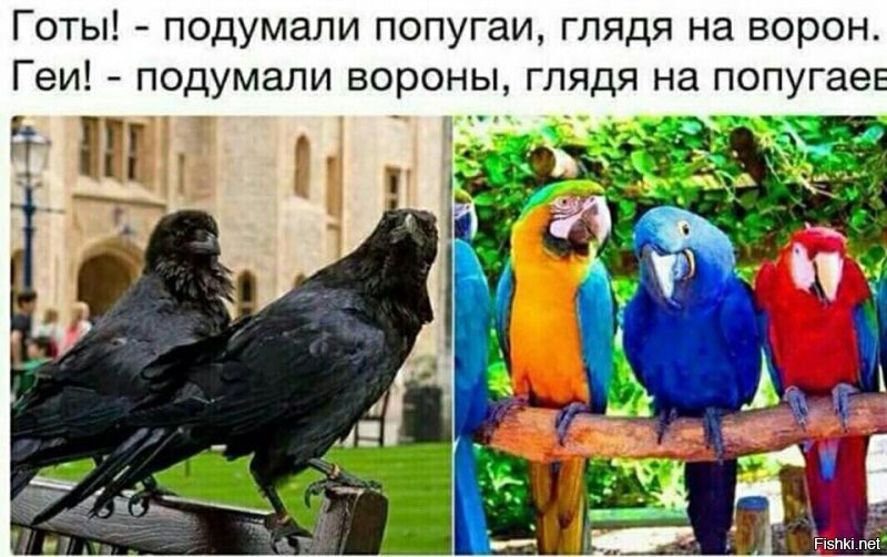 Солянка от 09.06.2020