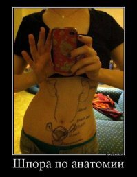 Образ шпаргалки в демотиваторах