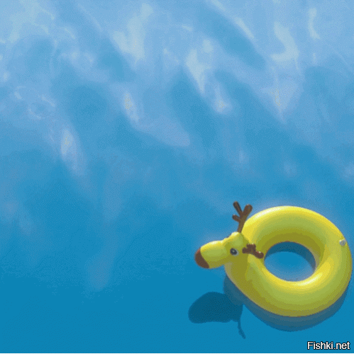 Солянка от 09.06.2020