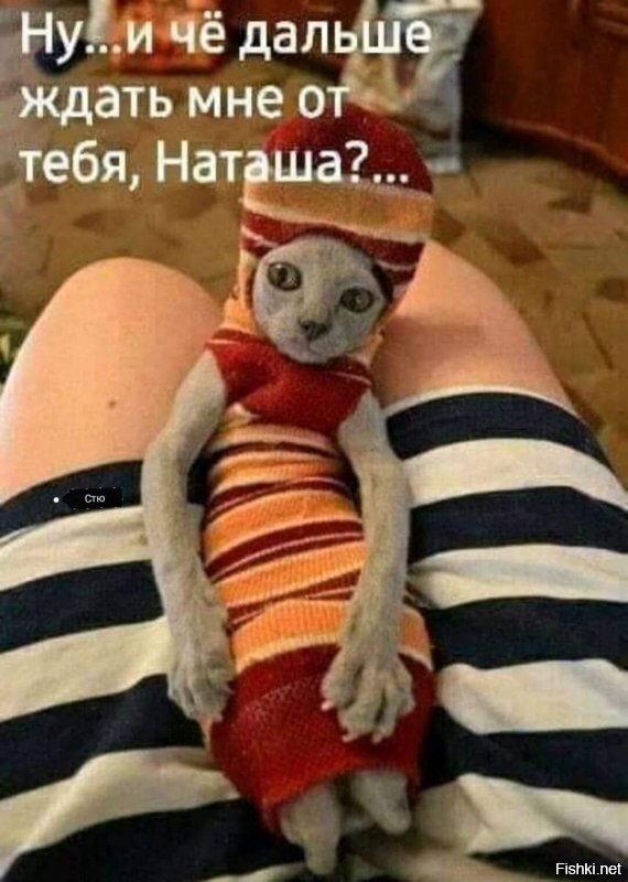 Солянка от 09.06.2020