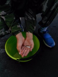 Мы с младшим сегодня тоже открыли сезон. На фото он демонстрирует результат открытия