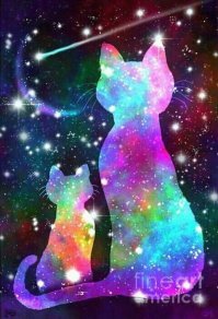 котики есть везде!!! только породы разные в разных вселенных