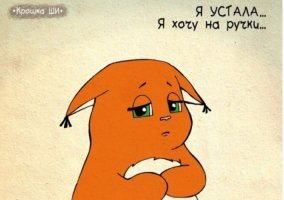 Девушка попыталась спасти белку и пожалела об этом