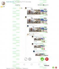 Девушка попыталась спасти белку и пожалела об этом