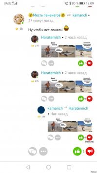 Девушка попыталась спасти белку и пожалела об этом