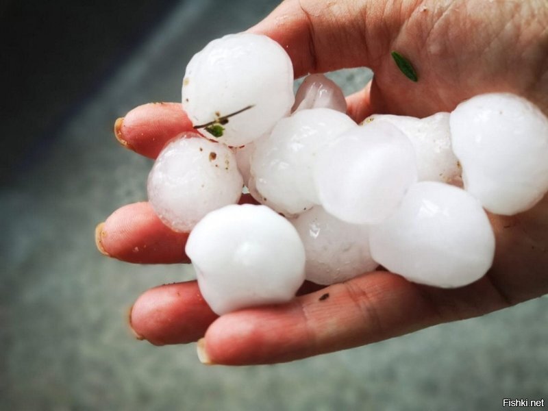 В Каунасе пабольше были, пипец..