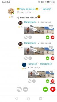 Девушка попыталась спасти белку и пожалела об этом